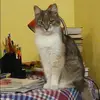 Отзыв от Татьяна Гордеева
